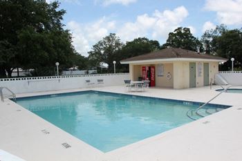 Sparkling swimming pool